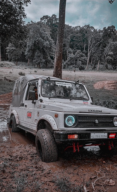 教练史蒂夫 教练史蒂夫