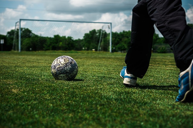 员的恢复和 员的恢复和