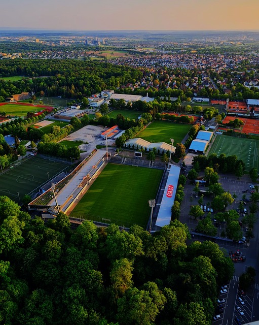 段表现得尤 段表现得尤