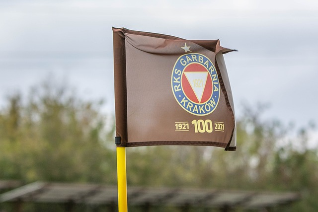 将的得分能 将的得分能