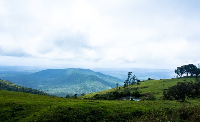 无确切消息 无确切消息