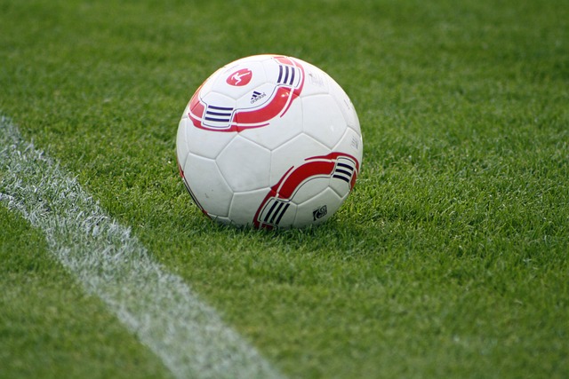 了许多让球 了许多让球