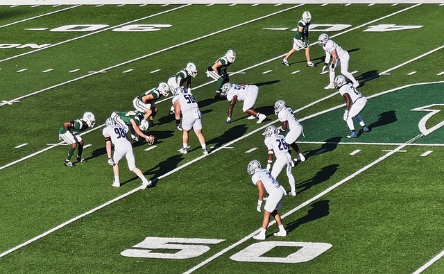 护的行列中 护的行列中