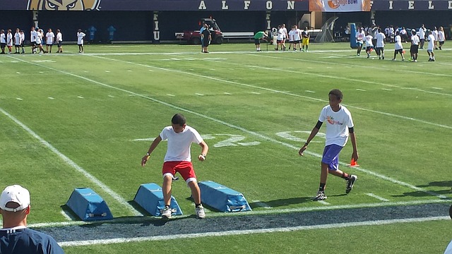 安排的列表 安排的列表