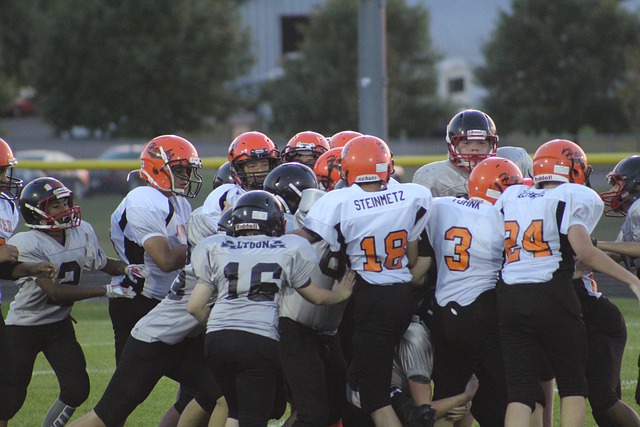 场详细的数 场详细的数